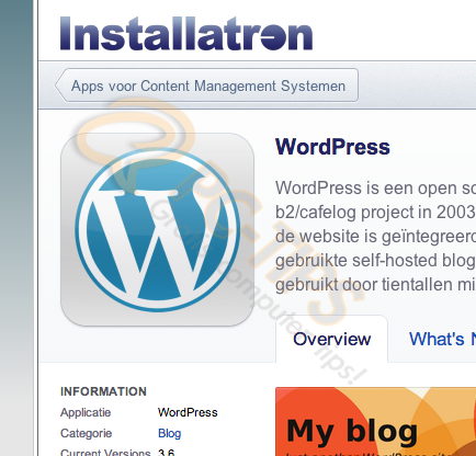 Geld verdienen met Adsense en WordPress Blogs