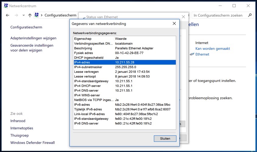 windows 10 ip adres details