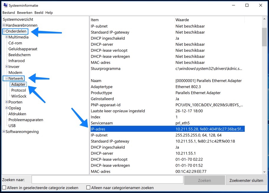 Información del sistema de dirección IP de Windows 10.