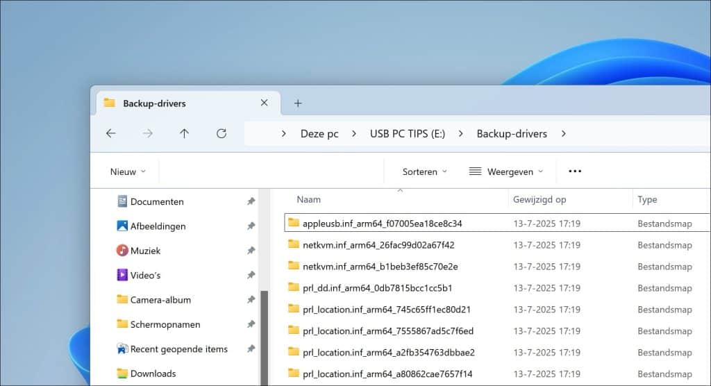 backup van alle stuurprogrammas