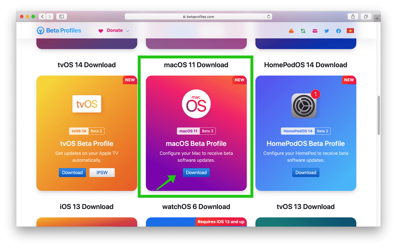 betaprofiles mac bigsur downloaden