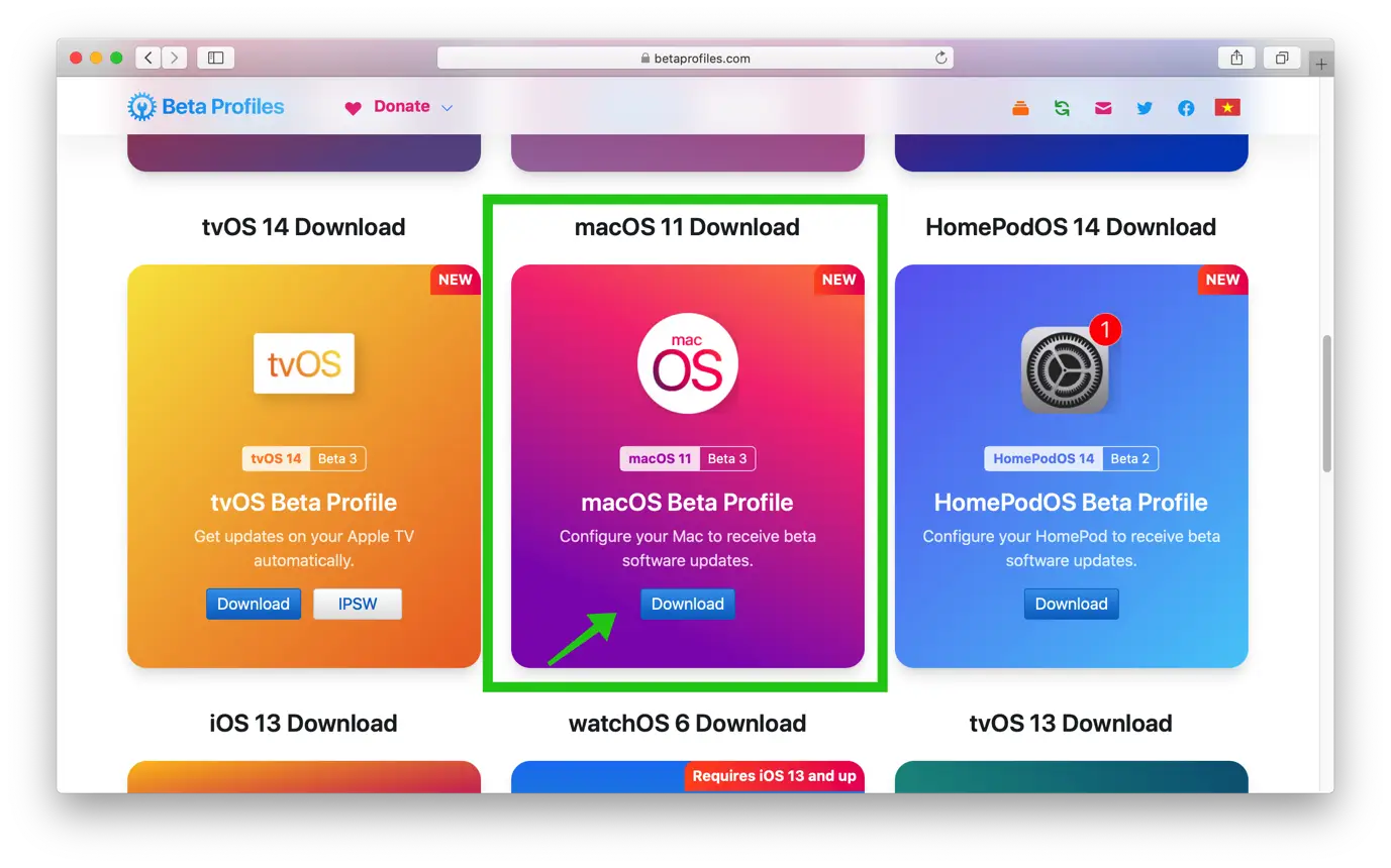 betaprofiles mac bigsur downloaden