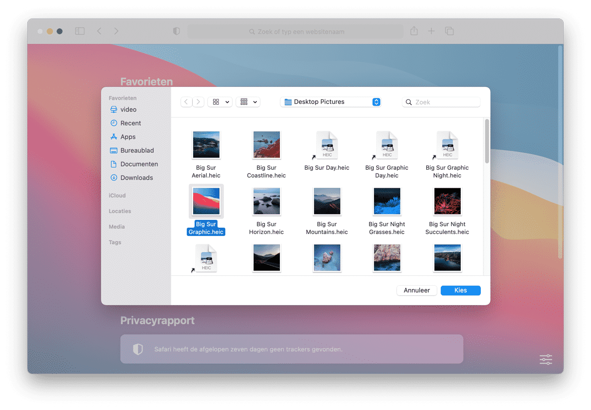 achtergrond instellen in safari mac big sur