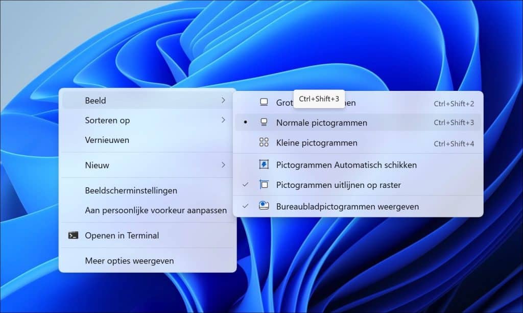 Beeld en selecteer vervolgens de gewenste pictogramgrootte