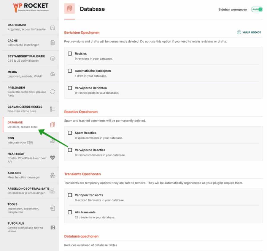 WP-Rocket database instellingen