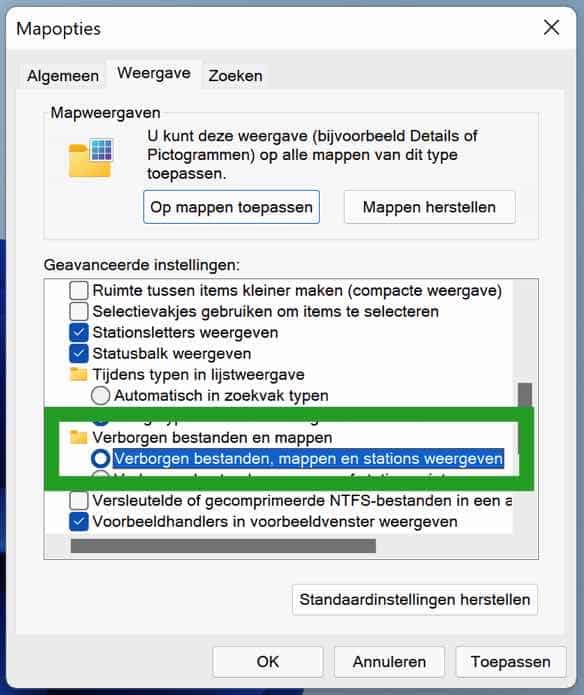 Versteckte Dateien in Windows 11 anzeigen