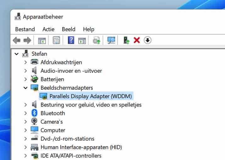 Display adapters in Device Manager