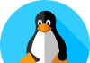 Windows Subsystem for Linux (WSL) installeren in Windows 11