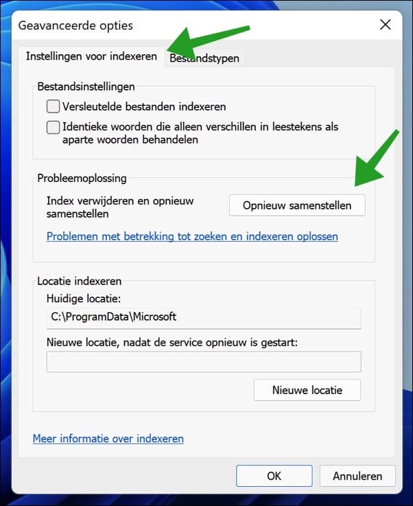 Rebuild Windows indexing