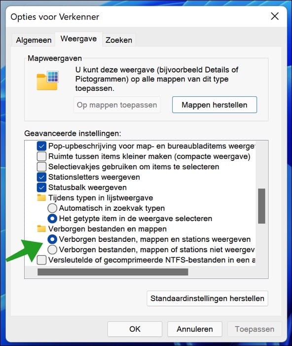 verborgen bestanden weergeven in windows 11