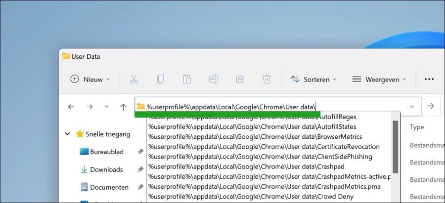 Carpeta de datos de usuario de Google Chrome