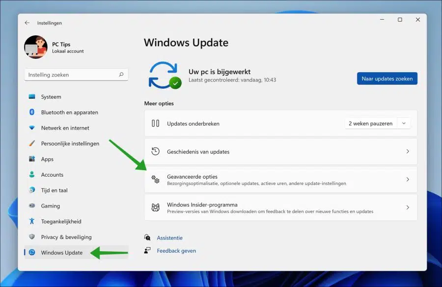Geavanceerde Windows update opties