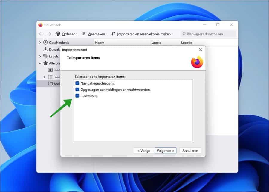 Items to import from the Google Chrome browser to Firefox