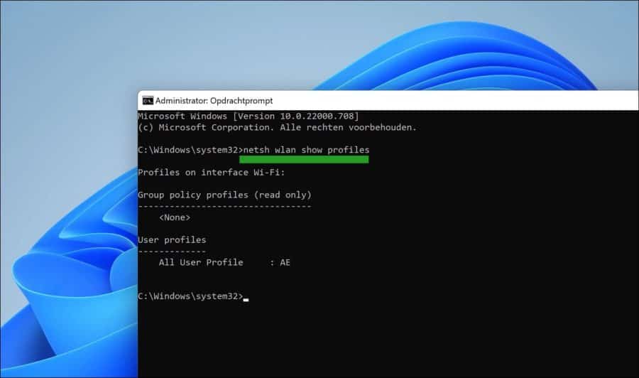 netsh wlan show profiles