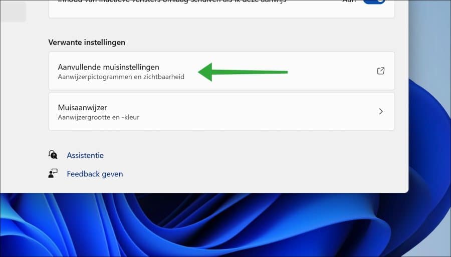 Aanvullende muisinstellingen in Windows 11