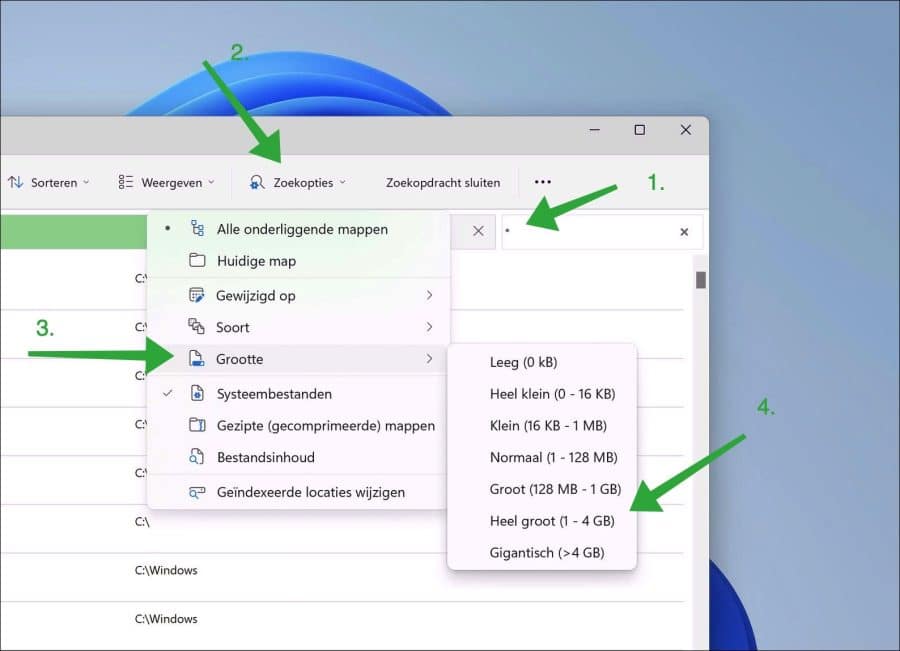 Grote bestanden zoeken in Windows 11
