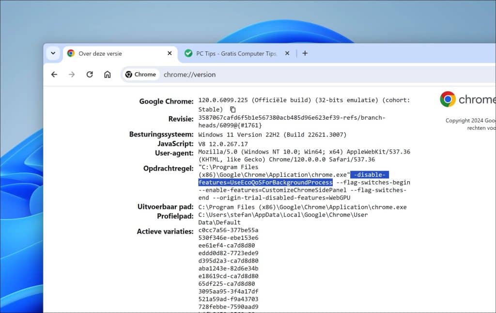 UseEcoQoSForBackgroundProcess flag in google chrome instellingen
