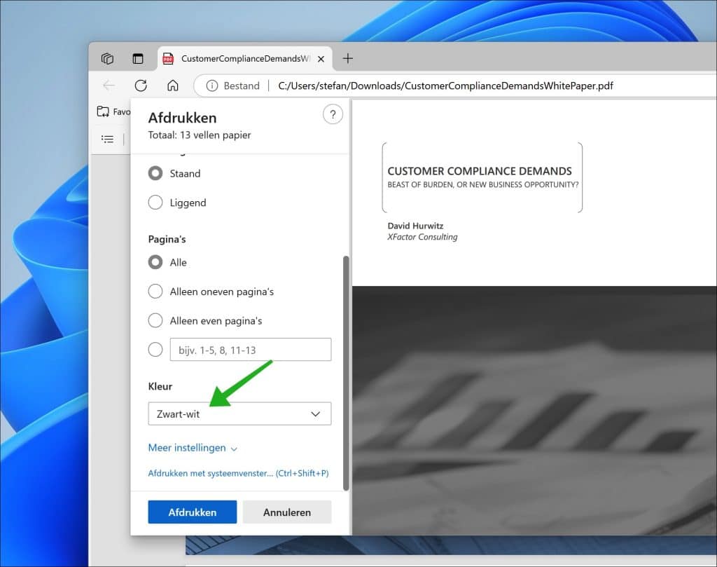 PDF naar zwart wit via Edge browser