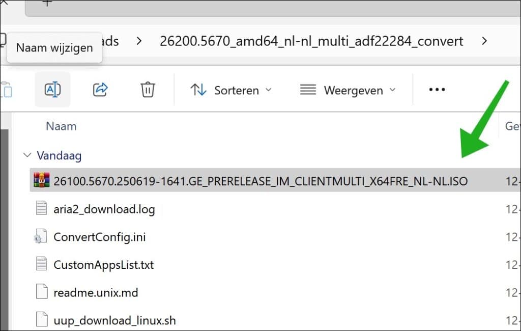 Download Windows 11 25H2 Insider Preview