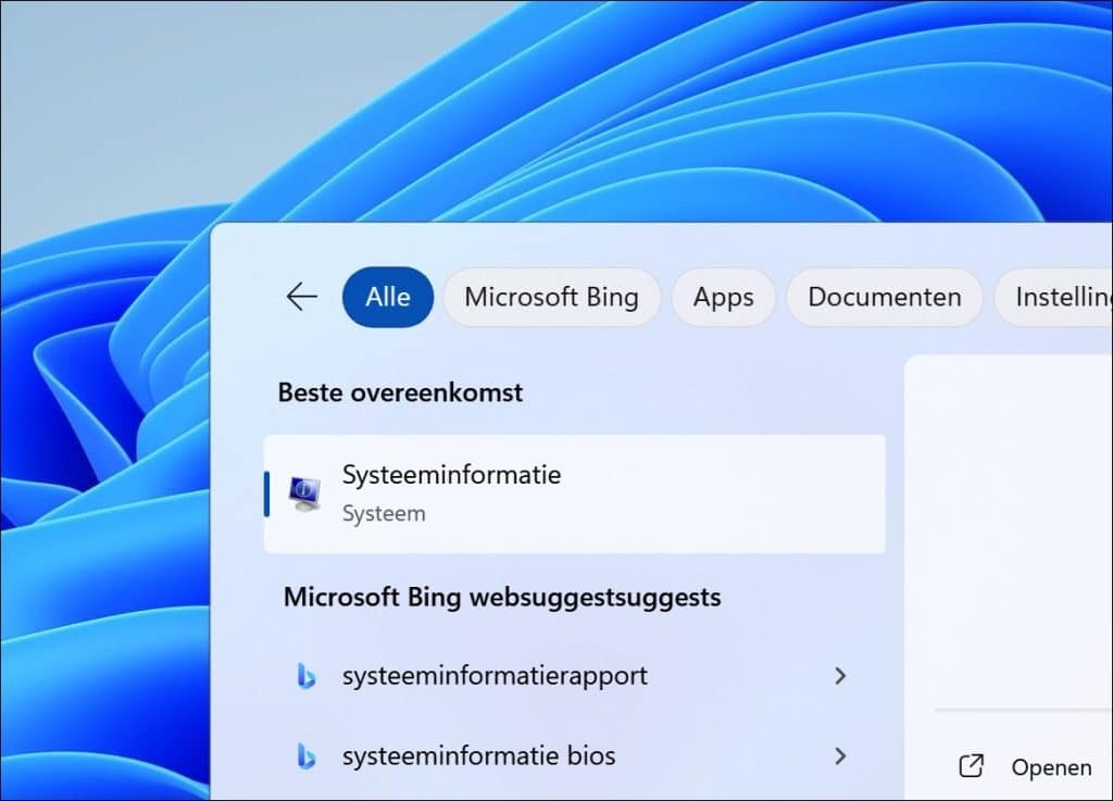 Systeeminformatie openen