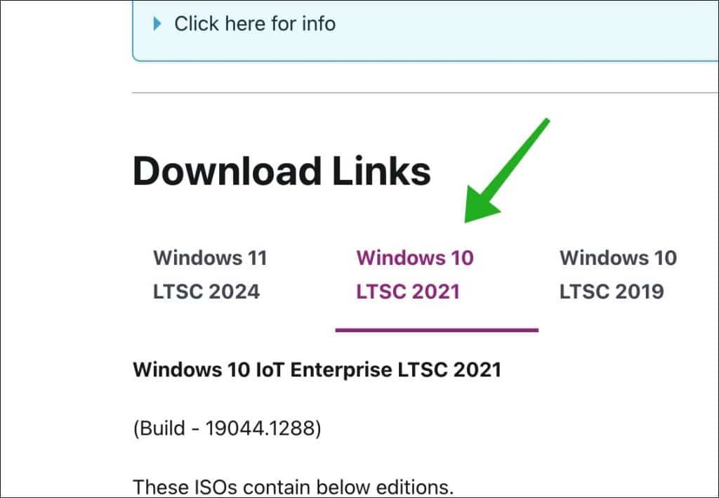 Windows 10 LTSC 2021 Nederlands