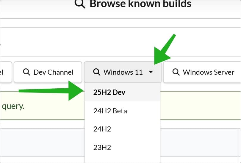 Windows 11 25h2 dev