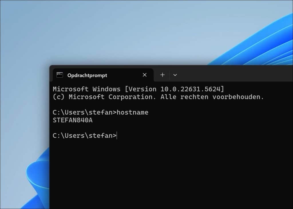 hostname