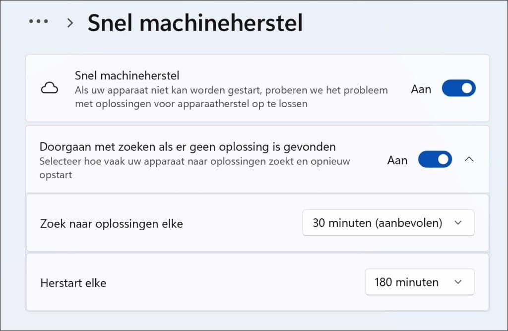 Snel machineherstel inschakelen