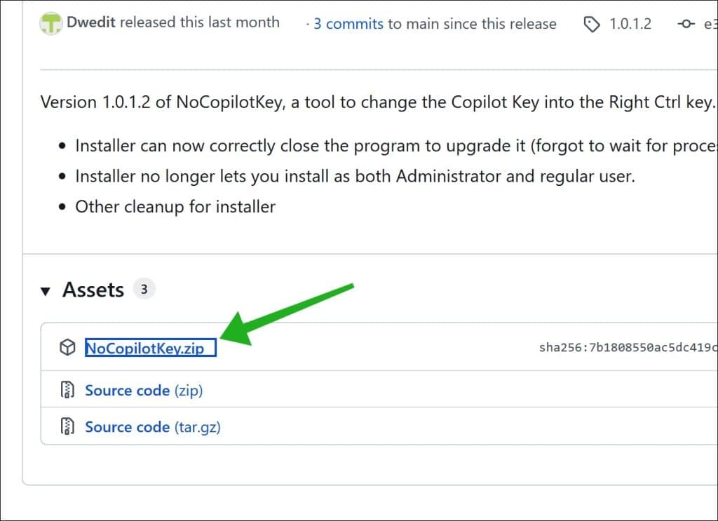 Download NoCoPilotKey