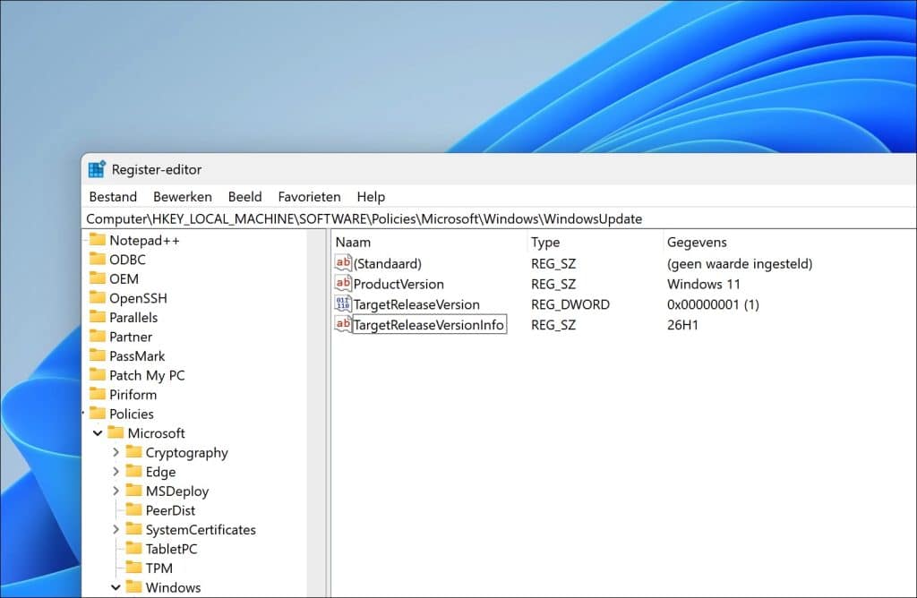 Windows 11 op een specifieke versie houden via het register