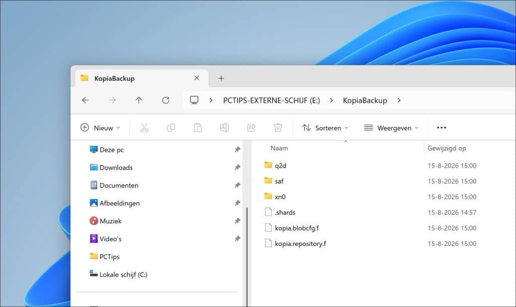 externe schijf verschijnen verschillende mappen en bestanden met niet-herkenbare namen