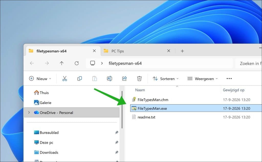 FileTypesMan downloaden en openen