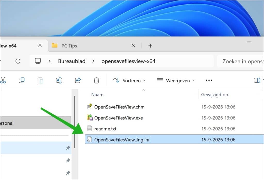 OpenSaveFilesView in het Nederlands