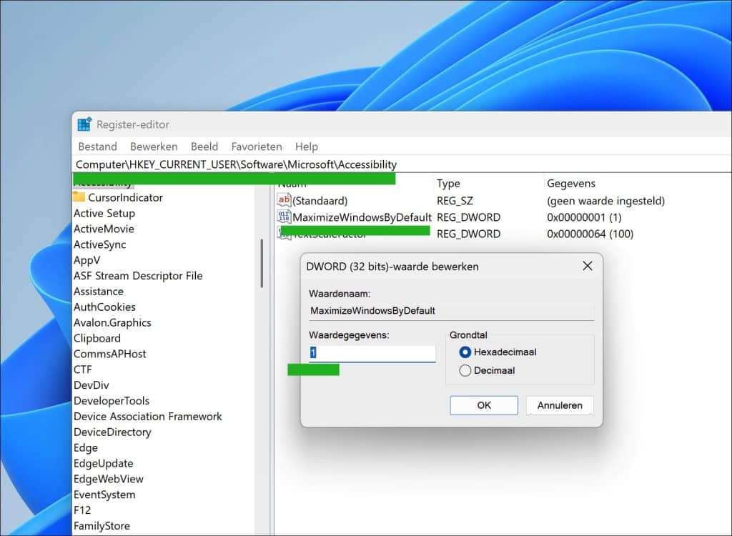 MaximizeWindowsByDefault