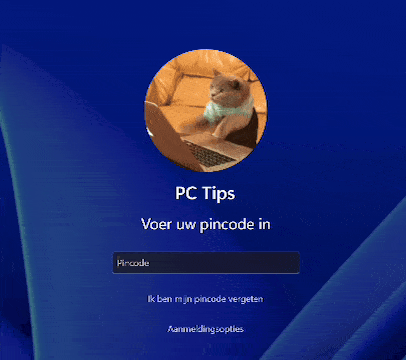 bewegende profielfoto in windows 11